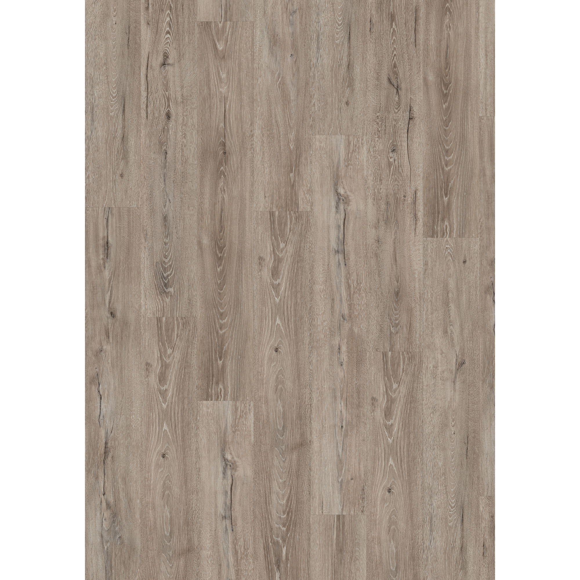Hybridboden 'Aquadura' EDF204 Panora Eiche grau 7,5 mm