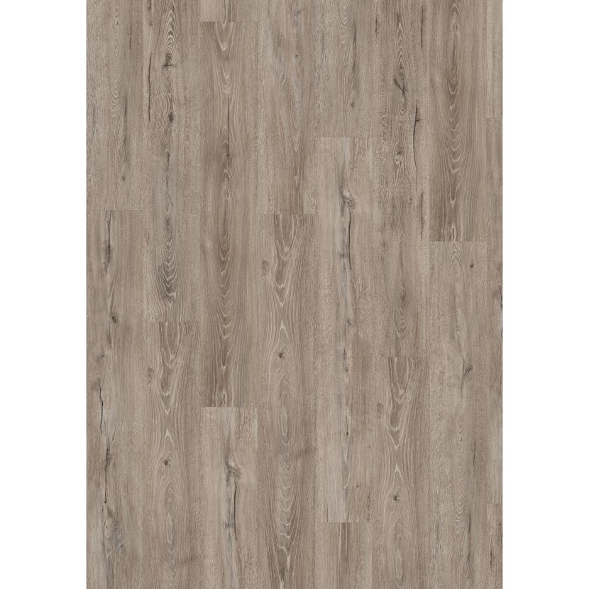 Designboden 'Aquadura' EDF204 Panora Eiche grau 7,5 mm