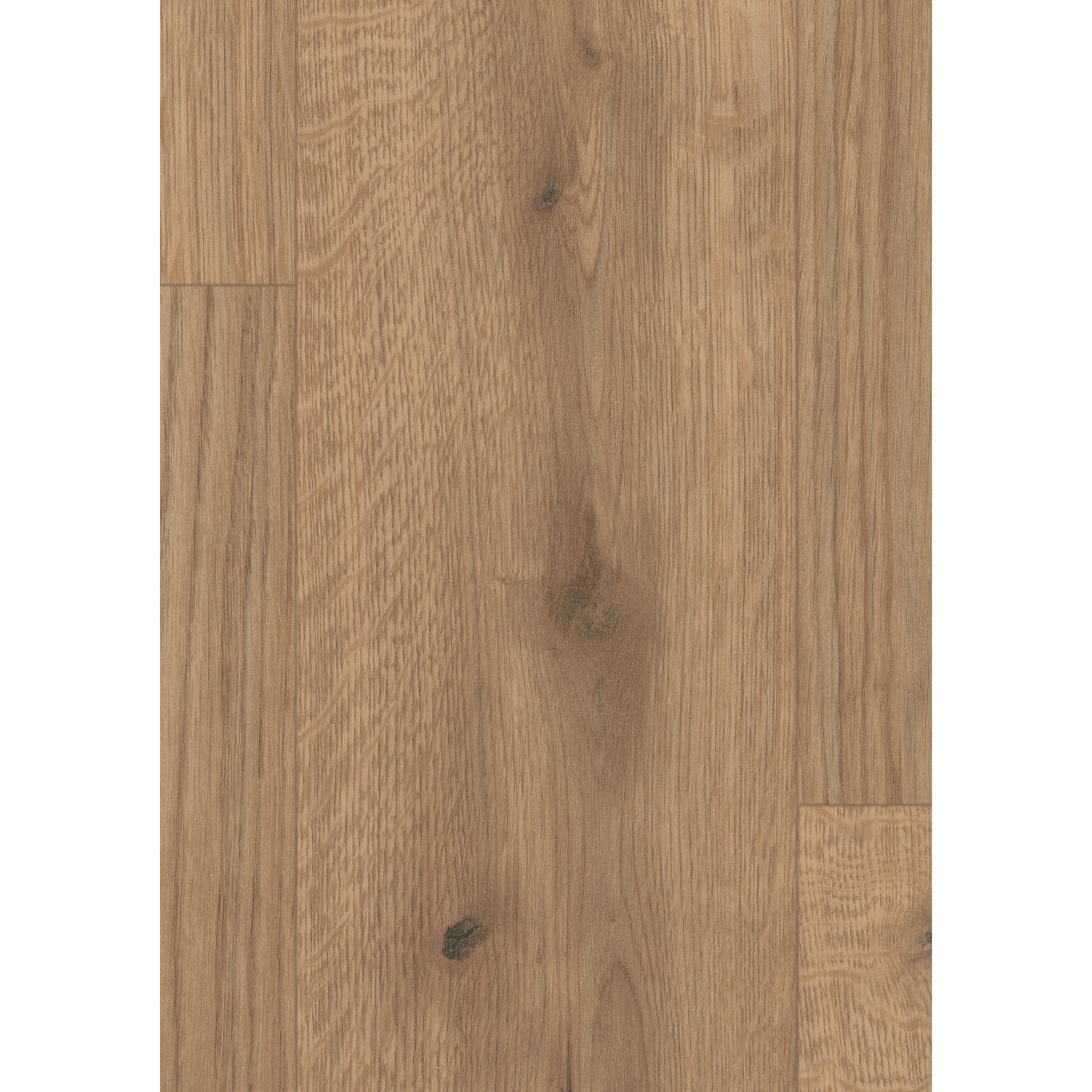Hybridboden 'Aquadura+' EDF177 Almington Eiche natur 7,5 mm