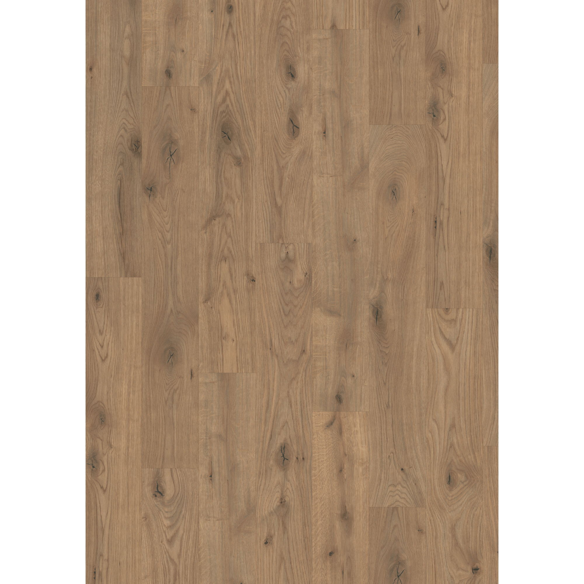 Hybridboden 'Aquadura+' EDF177 Almington Eiche natur 7,5 mm