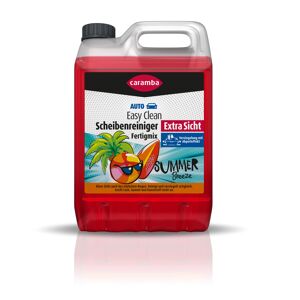 Scheibenreiniger 'Easy Clean' Extra Sicht Fertigmix Summer Breeze 3 l
