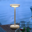 Akku-Tischlampe 'Nevio' 2 W warmweiß taupe