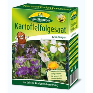 Kartoffelfolgesaat Gründünger 300 g