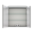 LED-Spiegelschrank 'Jelte' graphitfarben 70 x 72,3 x 14,9 cm