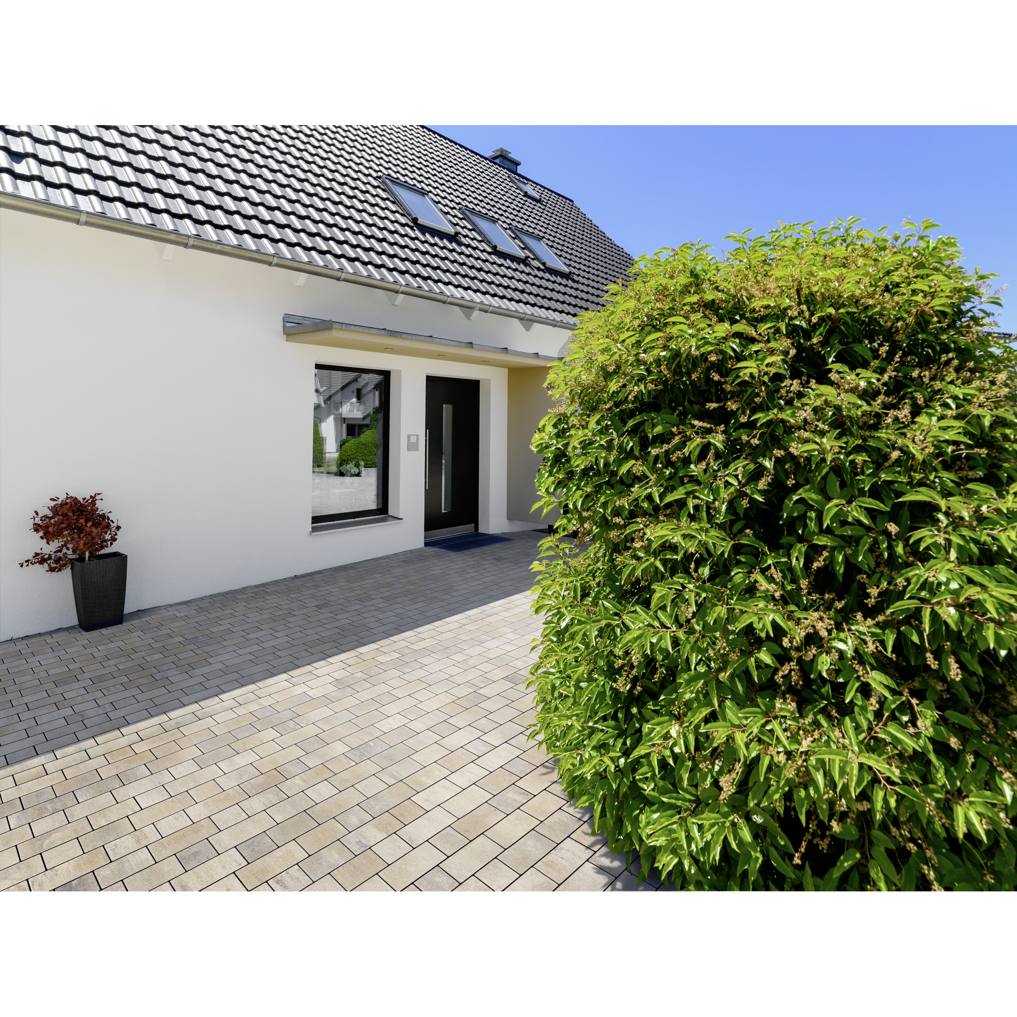 Pflasterstein 'Lille' muschelcreme Formatmix
