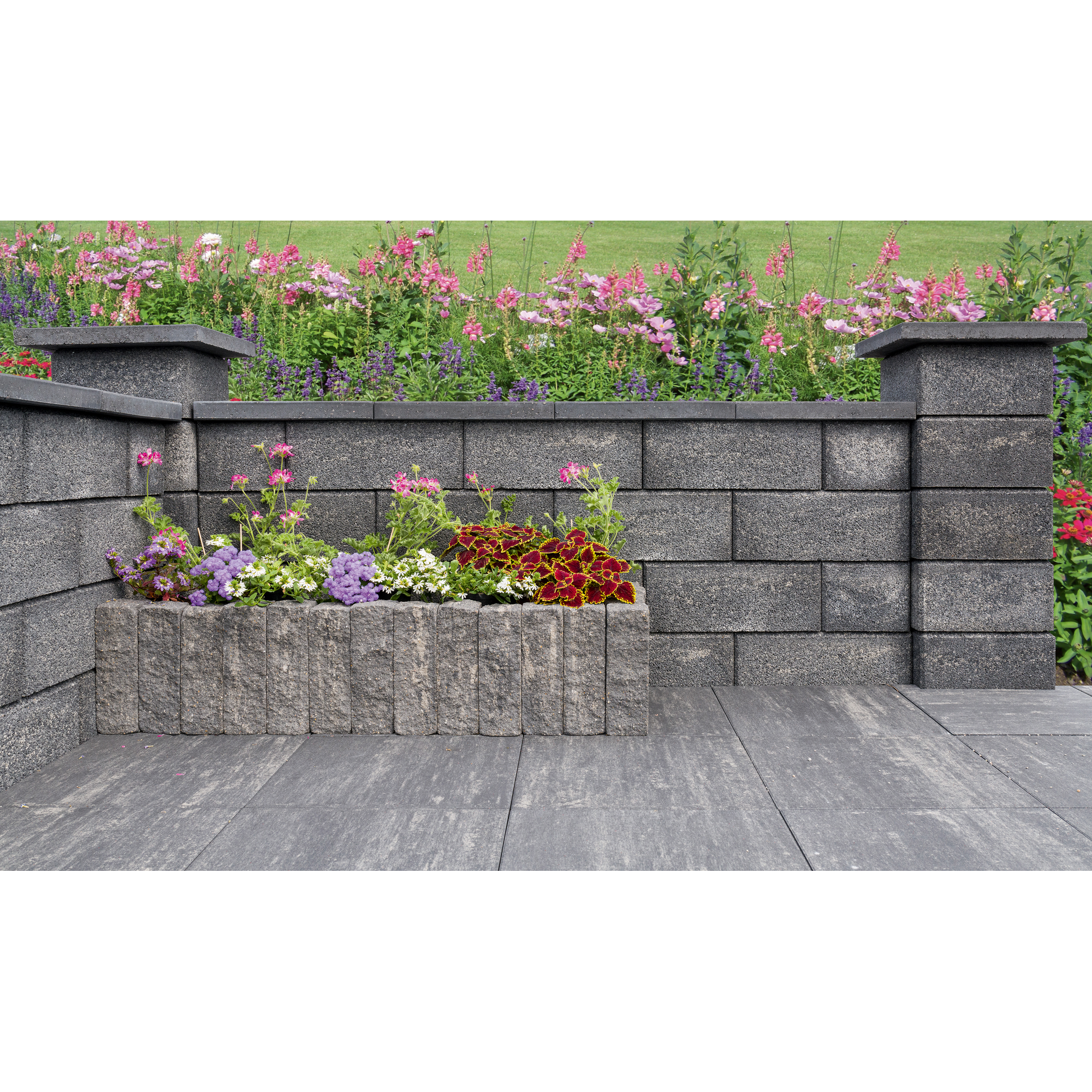 Mauerabdeckung 'T-Wall System' Beton quarzfarben 50 x 50 x 5 cm