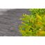 Terrassenplatte 'T-Court Fine Wood' Beton Holzoptik mittelgrau 60 x 30 x 4 cm
