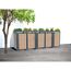 Mülltonnenbox 'Planta' bepflanzbar anthrazit/Holzoptik 84 x 332 x 124 cm
