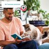 Katzensnack 'Knusperkissen mit Rind  &  Malz' 100 g