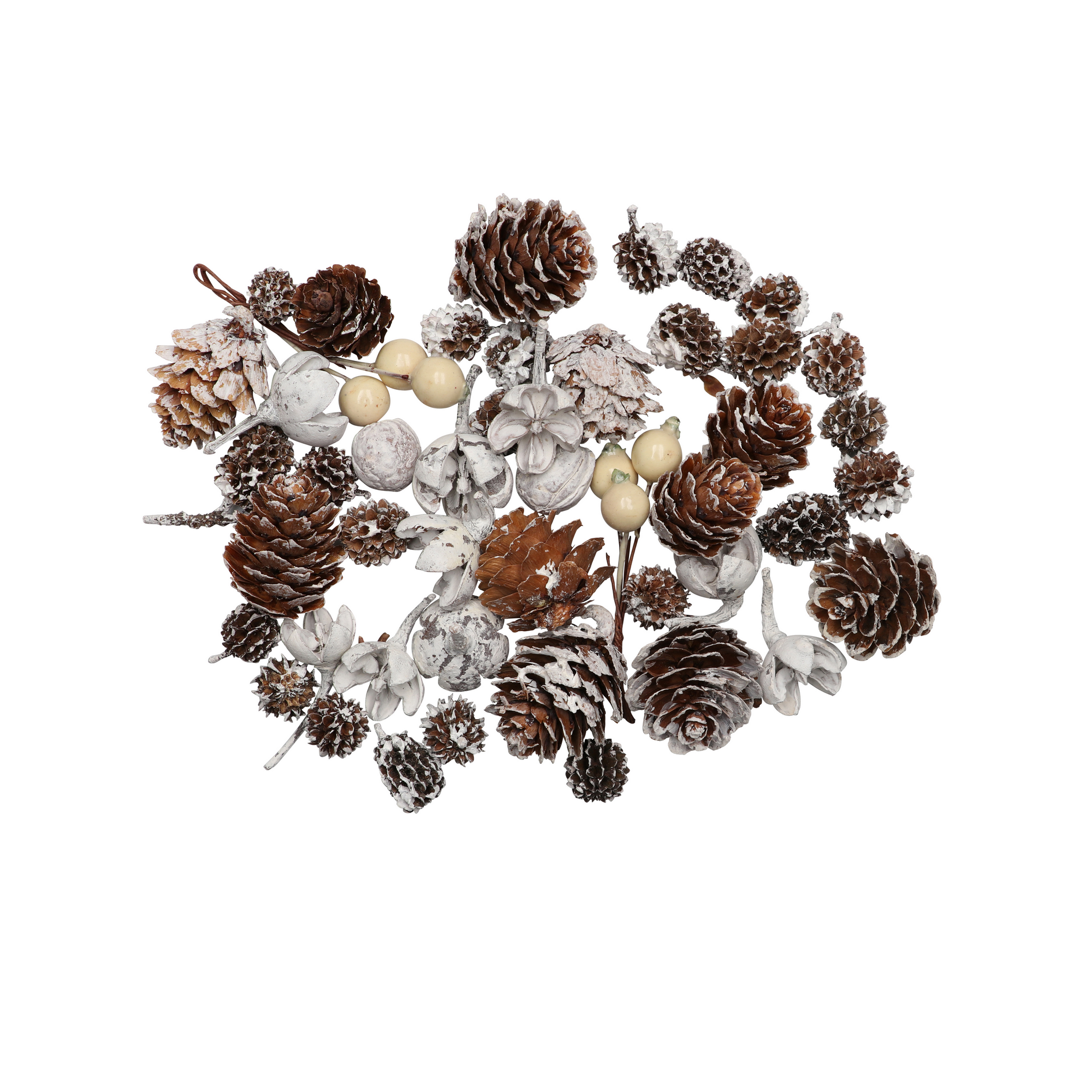 Zapfen-Mix-Set '5' mit weißen Beeren 170 g