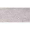 Bodenfliese 'Tempio' Feinsteinzeug grau 30 x 60 x 0,7 cm