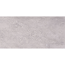 Bodenfliese 'Tempio' Feinsteinzeug grau 30 x 60 x 0,7 cm