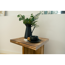 Leimholz 'Antik' geflammt 20 x 120 x 1,8 cm