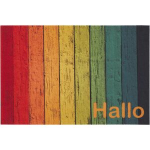 Fußmatte 'Orlando' Hallo 40 x 60 cm