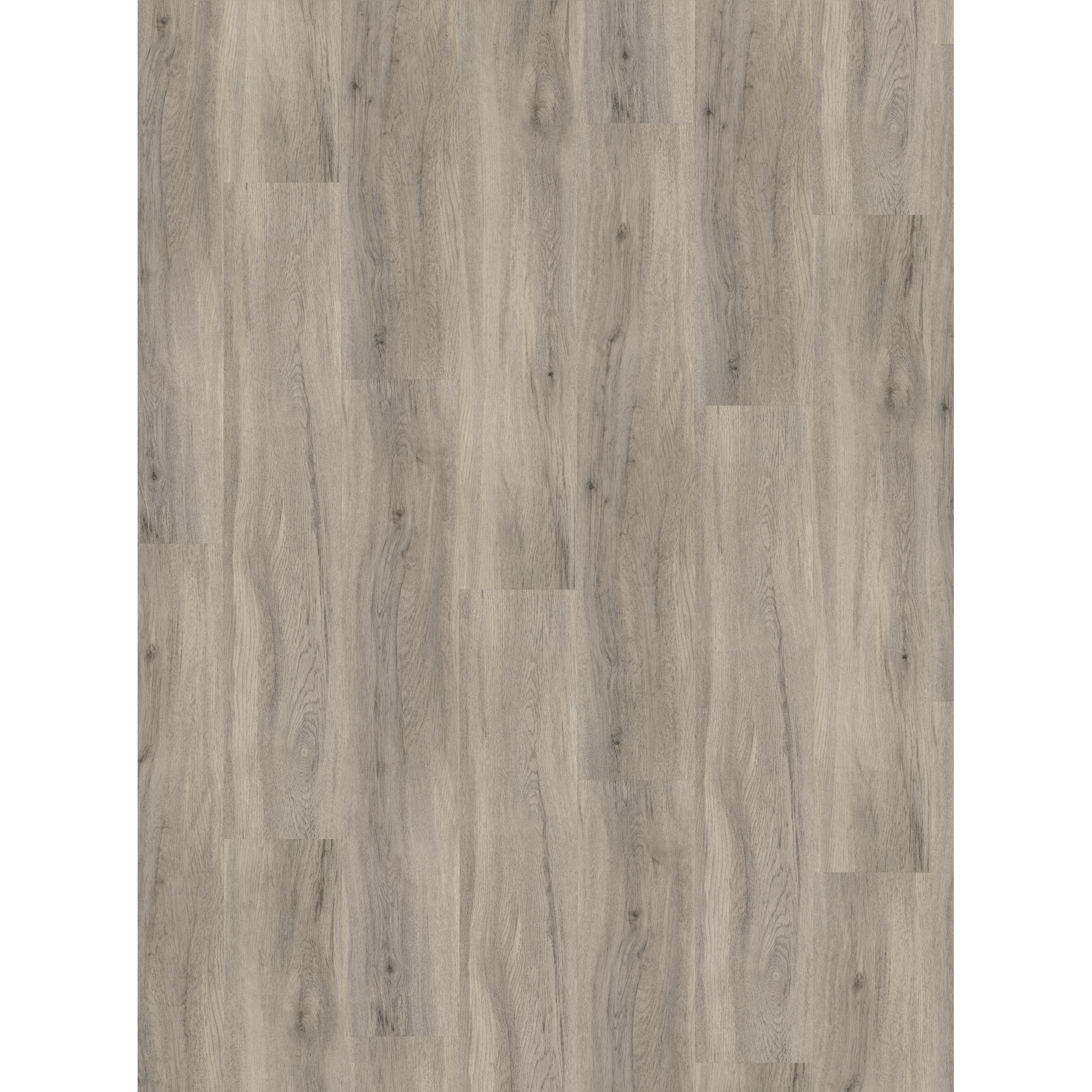 Vinylboden 'Basic 30' Eiche Navaro Grau 9,4 mm