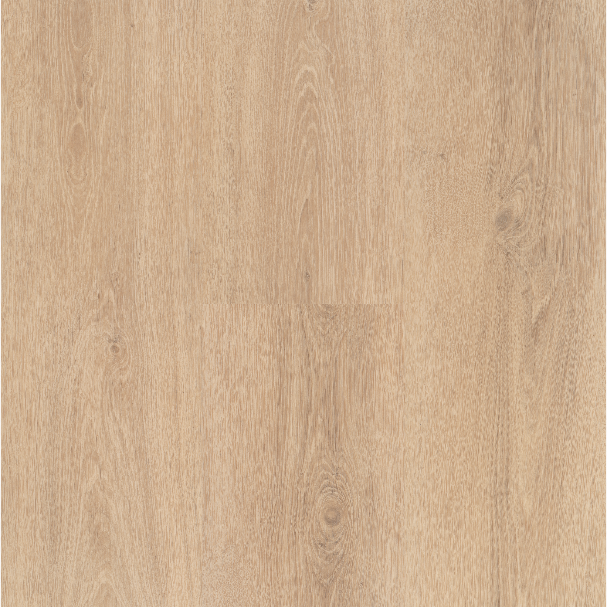 Vinylboden 'Basic 30' Eiche Sereno geschliffen 9,4 mm