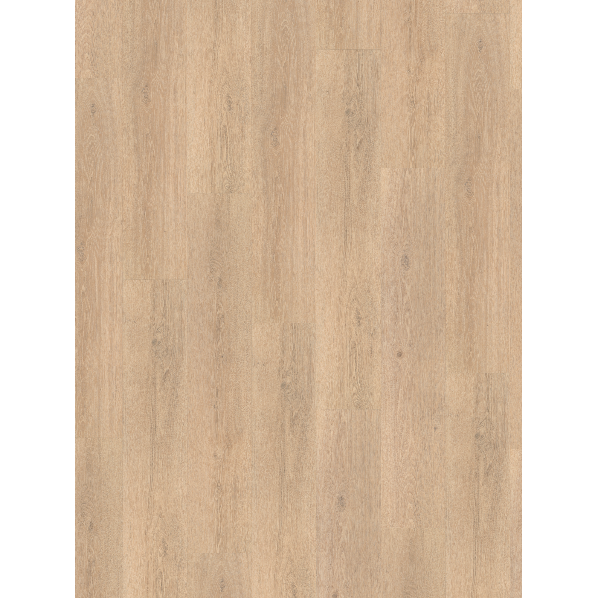 Vinylboden 'Basic 30' Eiche Sereno geschliffen 9,4 mm
