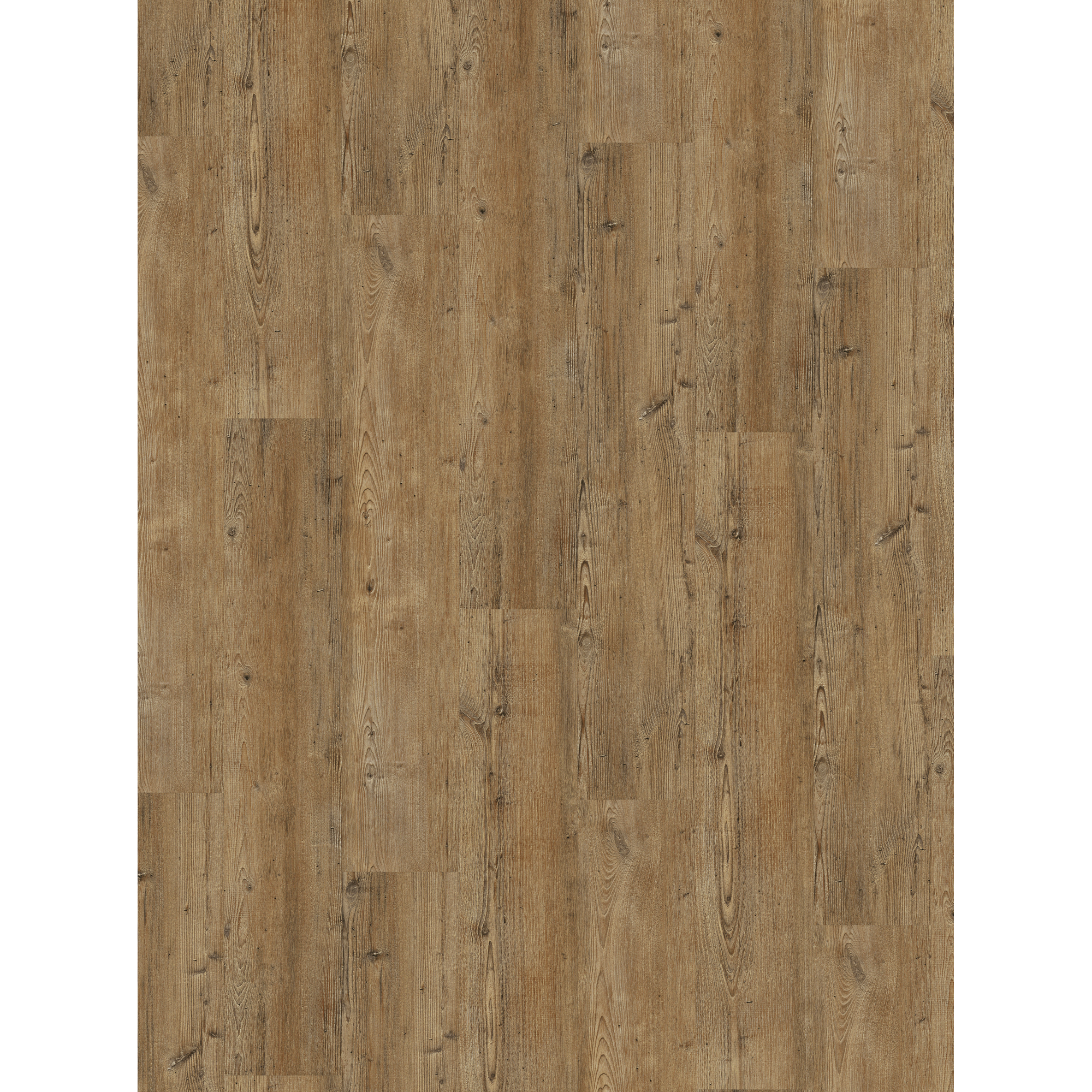 Vinylboden 'Basic 30' Pinie Toscana Braun 9,4 mm