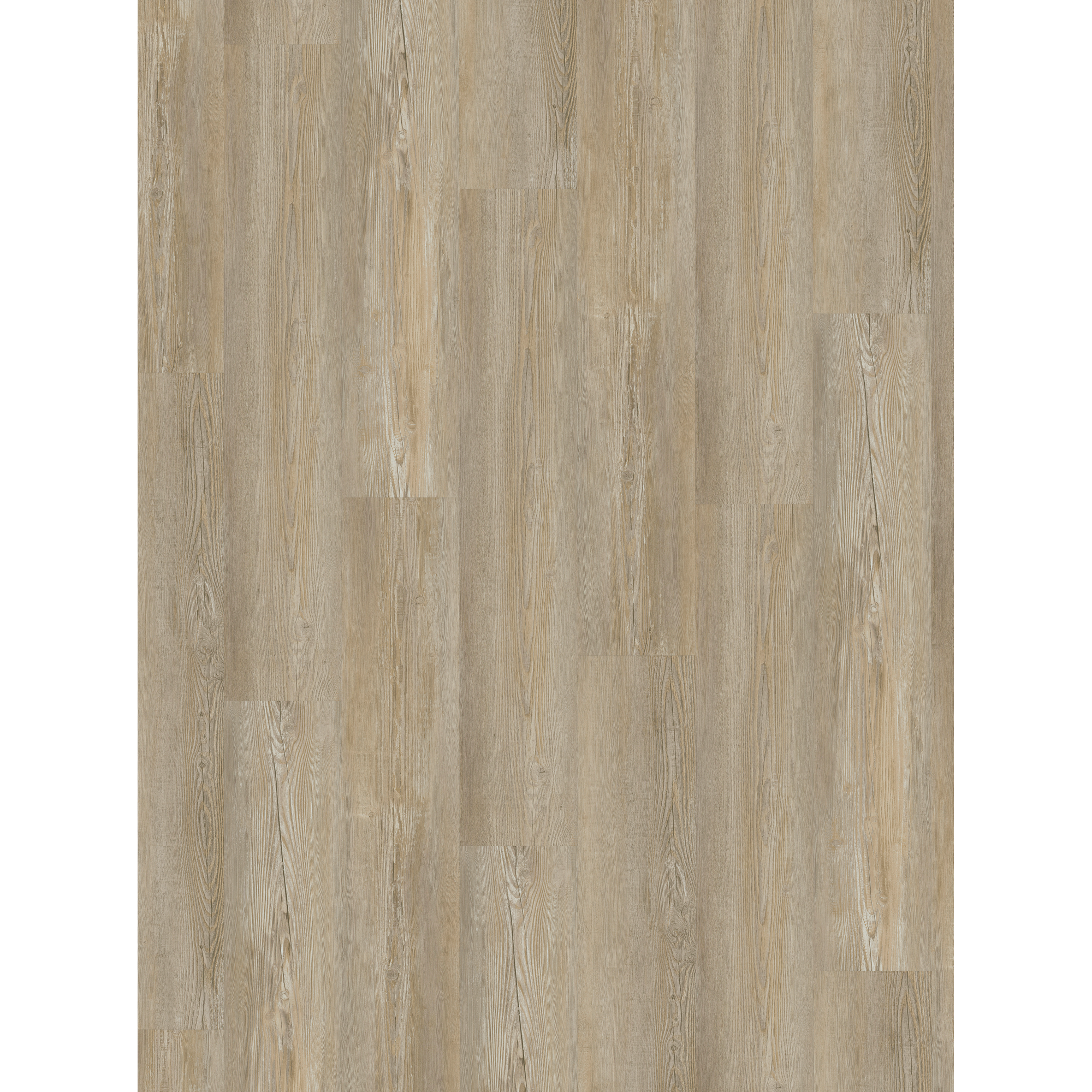 Vinylboden 'Basic 30' Pinie Winter Hell 9,4 mm