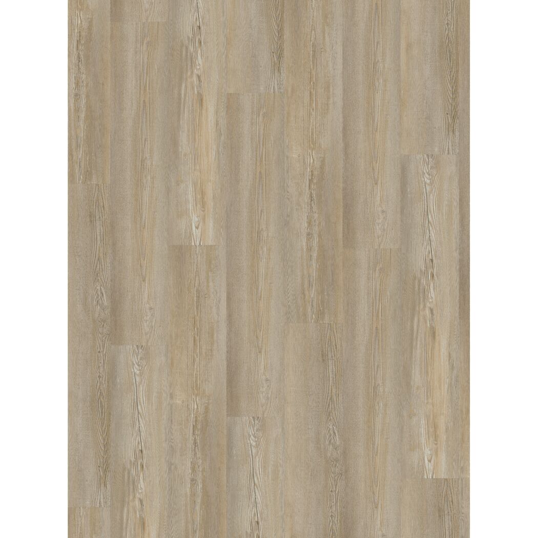Vinylboden 'Basic 30' Pinie Winter Hell 9,4 mm