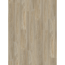 Vinylboden 'Basic 30' Pinie Winter Hell 9,4 mm