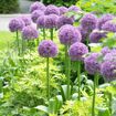 hauptbild
