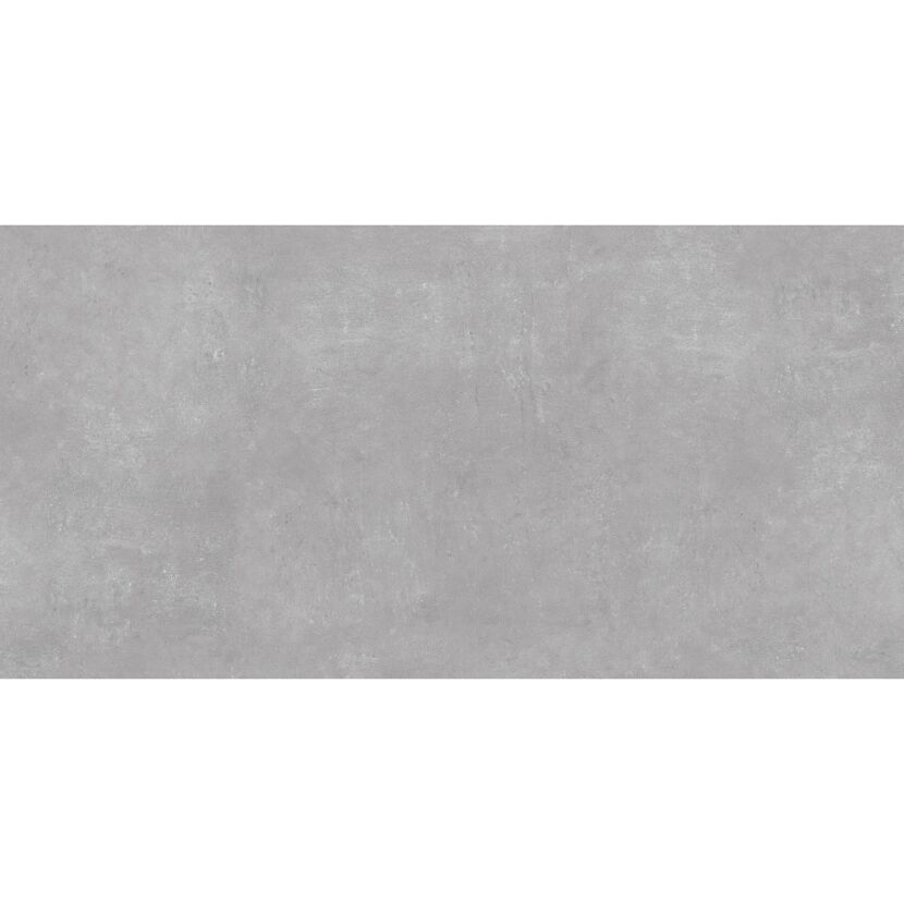 Bodenfliese 'Ark Silver' grau 60 x 120 cm