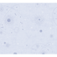 Vliestapete 'Lilly & Luis' Sterne blau 0,53 x 10,05 m
