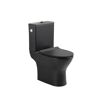 Stand-WC-Set spülrandlos 'Paros' inklusive WC-Sitz schwarz
