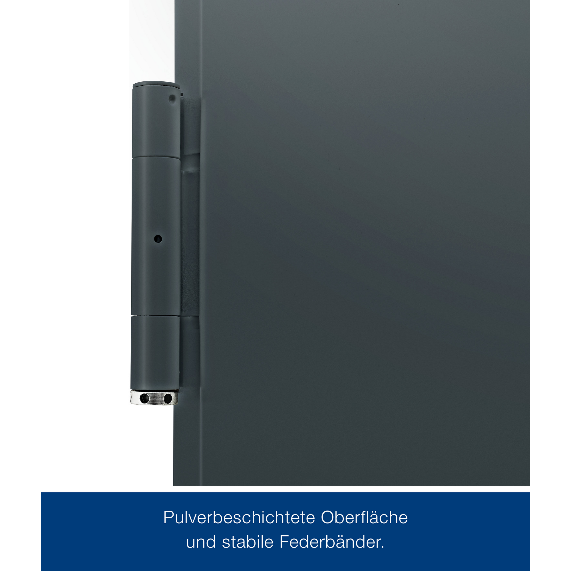 Kellertür mit Lichtausschnitt anthrazitgrau 100 x 200 cm Links-/Rechtsanschlag