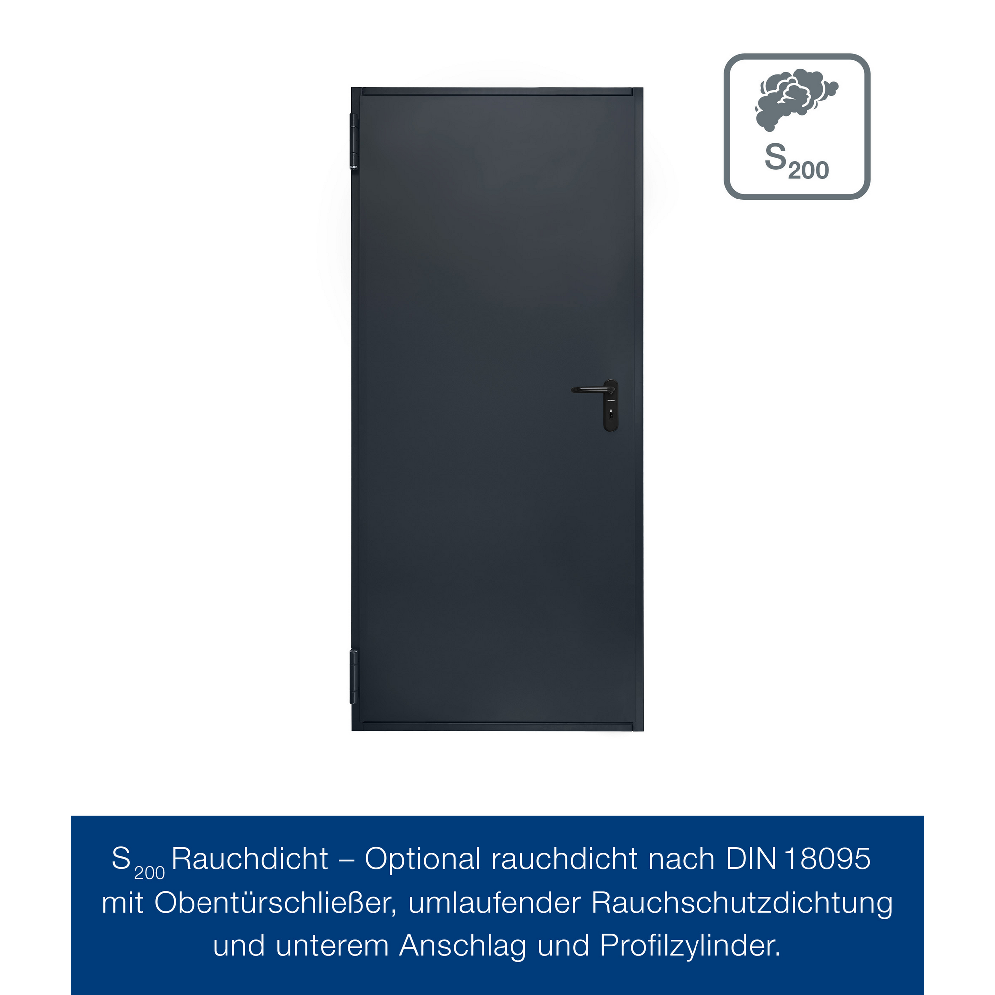 Brandschutztür 'T30 H8-5' anthrazitgrau 100 x 200 cm Links-/Rechtsanschlag
