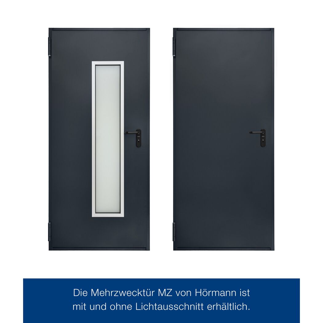 Brandschutztür 'T30 H8-5'  anthrazitgrau 87,5 x 200 cm Links-/Rechtsanschlag