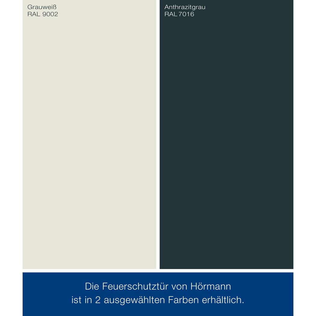 Brandschutztür 'T30 H8-5'  anthrazitgrau 87,5 x 200 cm Links-/Rechtsanschlag