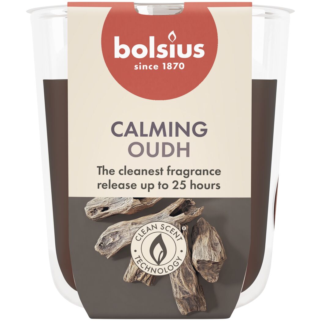 Bolsius Duftkerze Oud Wood im Glas