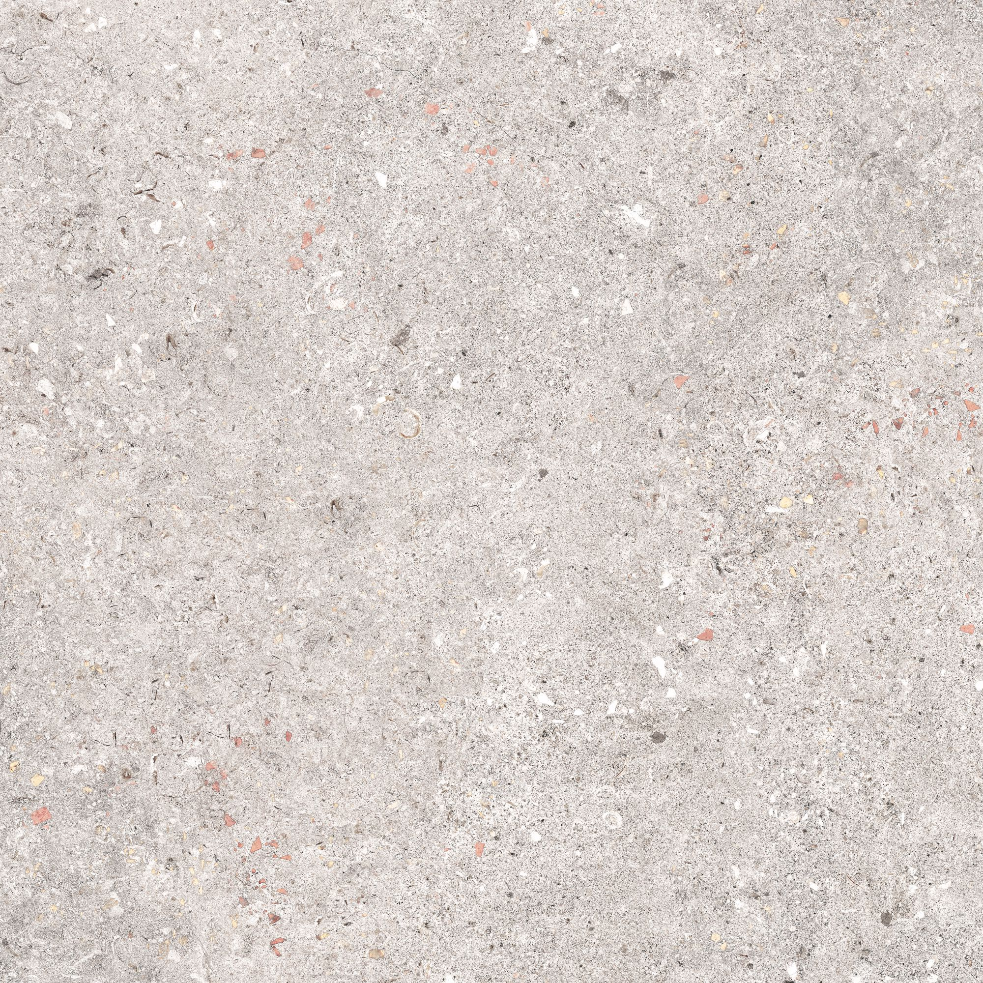 Bodenfliese 'Rocket Stone' Feinsteinzeug grau 60,6 x 60,6 x 0,8 cm