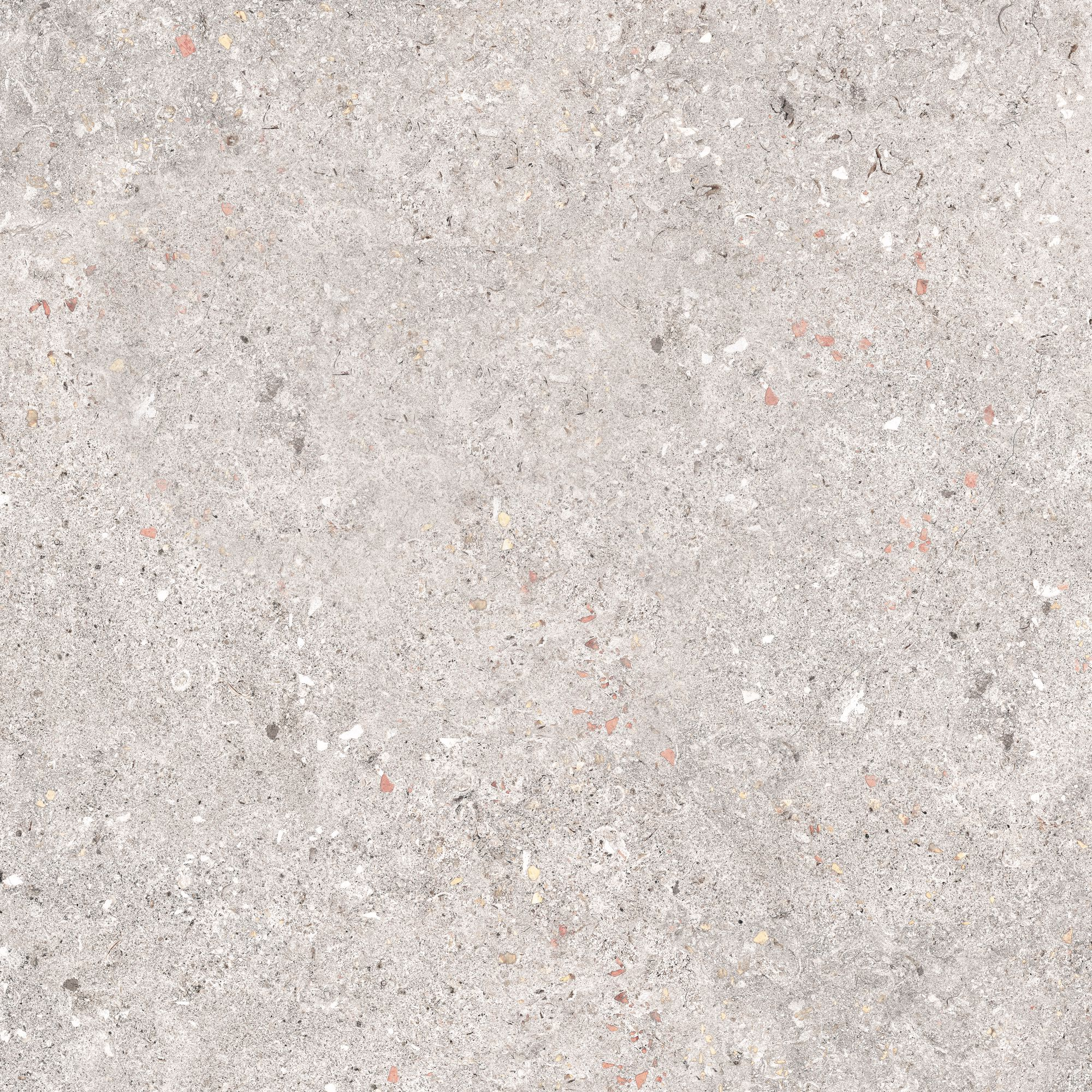 Bodenfliese 'Rocket Stone' Feinsteinzeug grau 60,6 x 60,6 x 0,8 cm