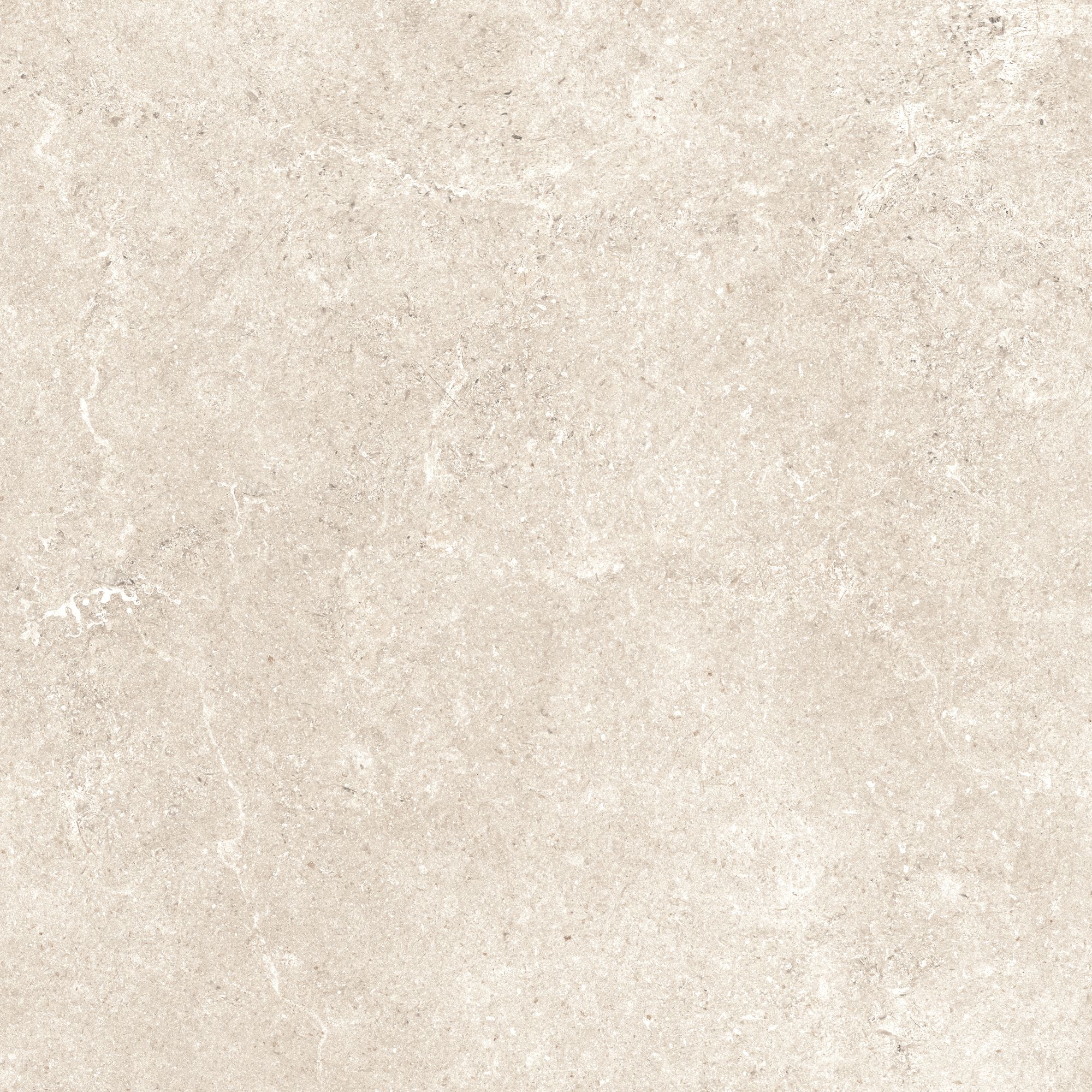 Bodenfliese 'Baredo' Feinsteinzeug beige 60,6 x 60,6 x 0,8 cm