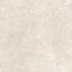 Bodenfliese 'Baredo' Feinsteinzeug beige 60,6 x 60,6 x 0,8 cm
