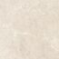Bodenfliese 'Baredo' Feinsteinzeug beige 60,6 x 60,6 x 0,8 cm