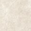 Bodenfliese 'Baredo' Feinsteinzeug beige 60,6 x 60,6 x 0,8 cm