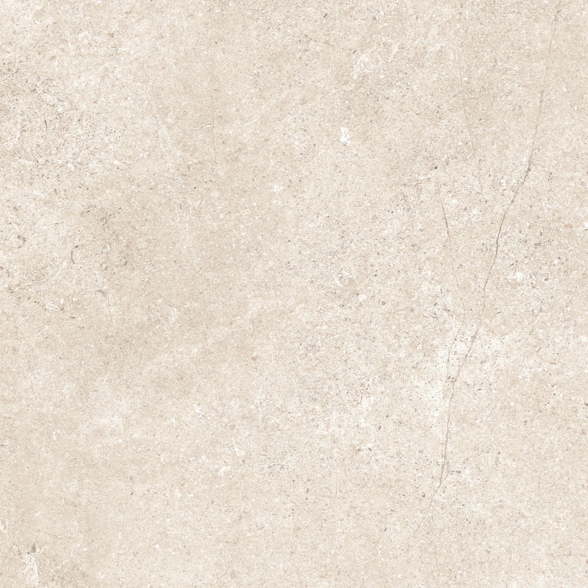 Bodenfliese 'Baredo' Feinsteinzeug beige 60,6 x 60,6 x 0,8 cm