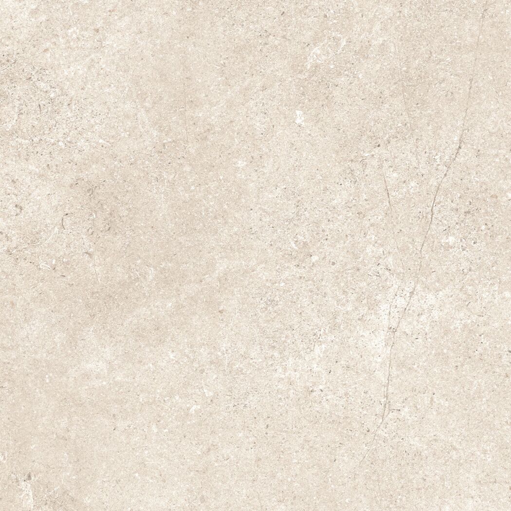 Bodenfliese 'Baredo' Feinsteinzeug beige 60,6 x 60,6 x 0,8 cm