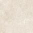 Bodenfliese 'Baredo' Feinsteinzeug beige 60,6 x 60,6 x 0,8 cm