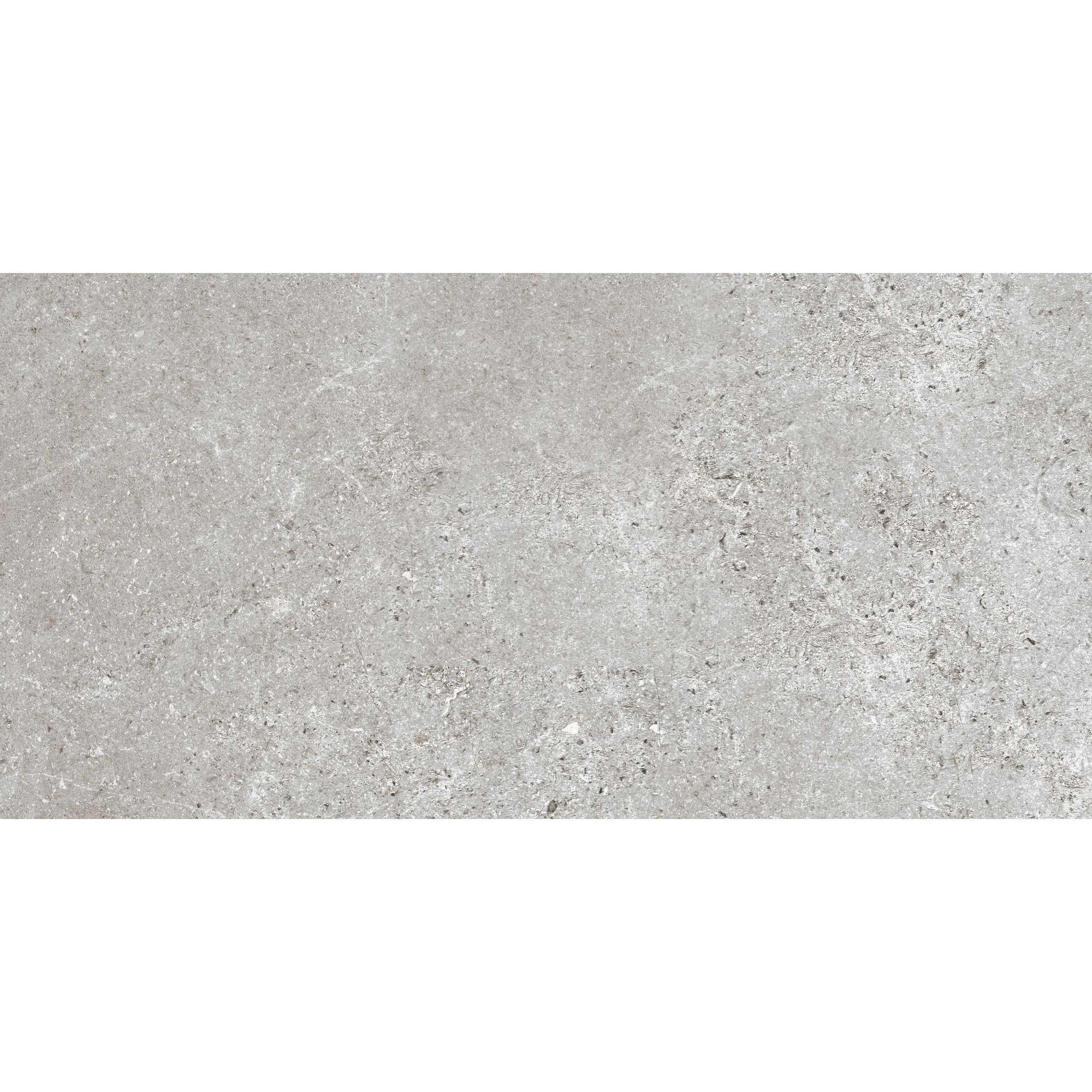 Bodenfliese 'Baredo' Feinsteinzeug grau 29,8 x 59,8 x 0,8 cm