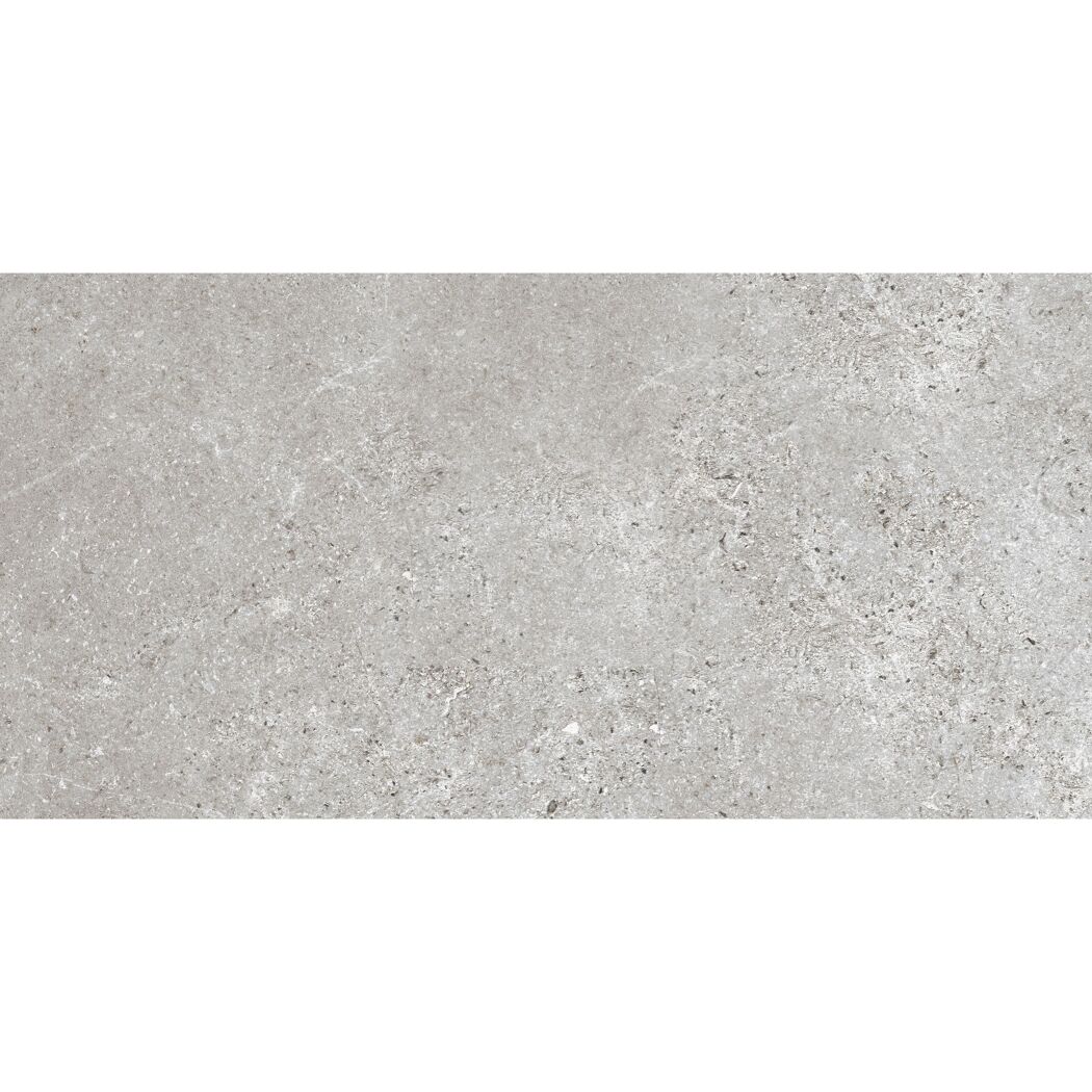 Bodenfliese 'Baredo' Feinsteinzeug grau 29,8 x 59,8 x 0,8 cm