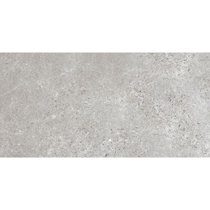 Bodenfliese 'Baredo' Feinsteinzeug grau 29,8 x 59,8 x 0,8 cm