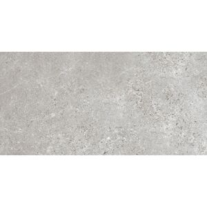 Bodenfliese 'Baredo' Feinsteinzeug grau 29,8 x 59,8 x 0,8 cm