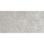 Bodenfliese 'Baredo' Feinsteinzeug grau 29,8 x 59,8 x 0,8 cm