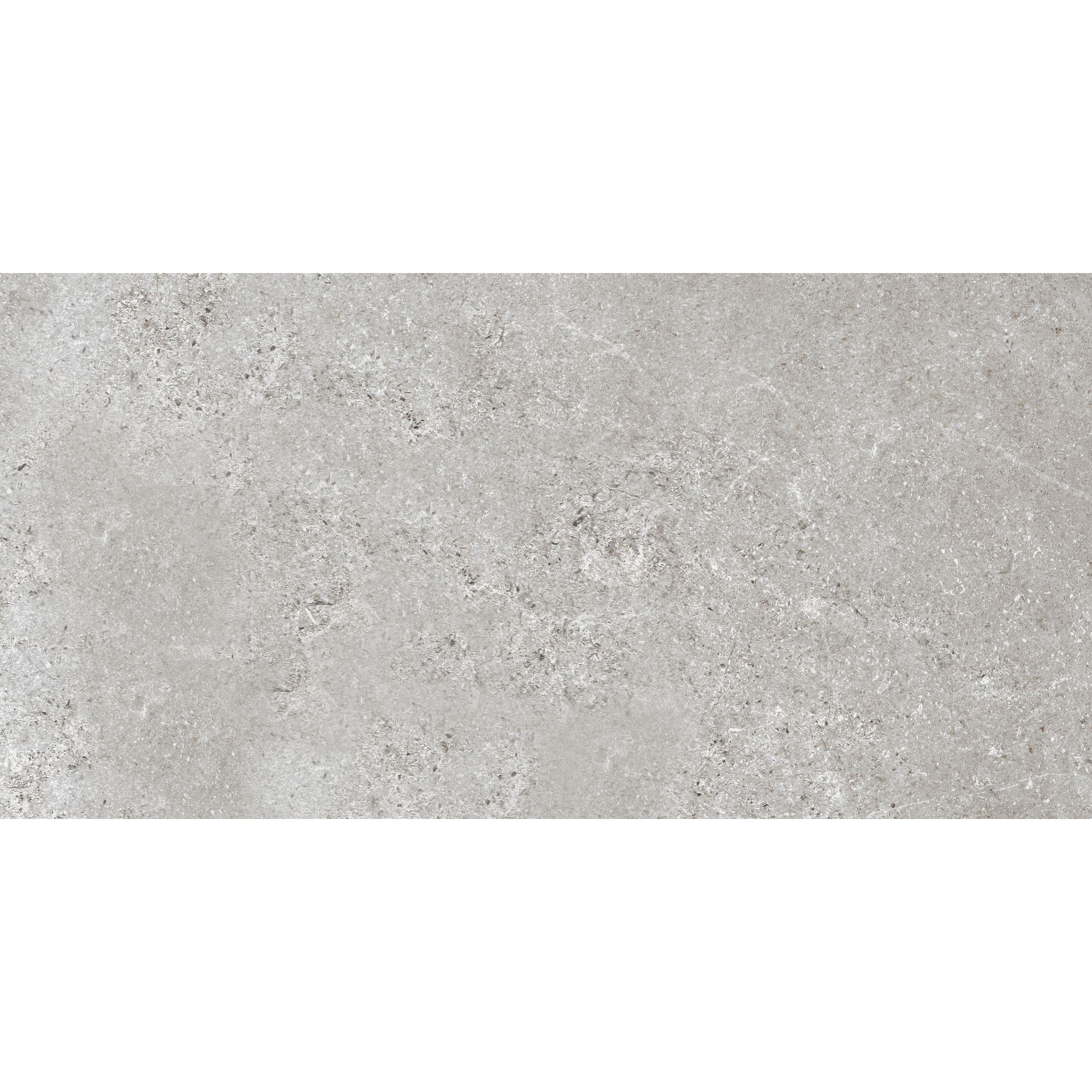 Bodenfliese 'Baredo' Feinsteinzeug grau 29,8 x 59,8 x 0,8 cm