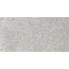 Bodenfliese 'Baredo' Feinsteinzeug grau 29,8 x 59,8 x 0,8 cm